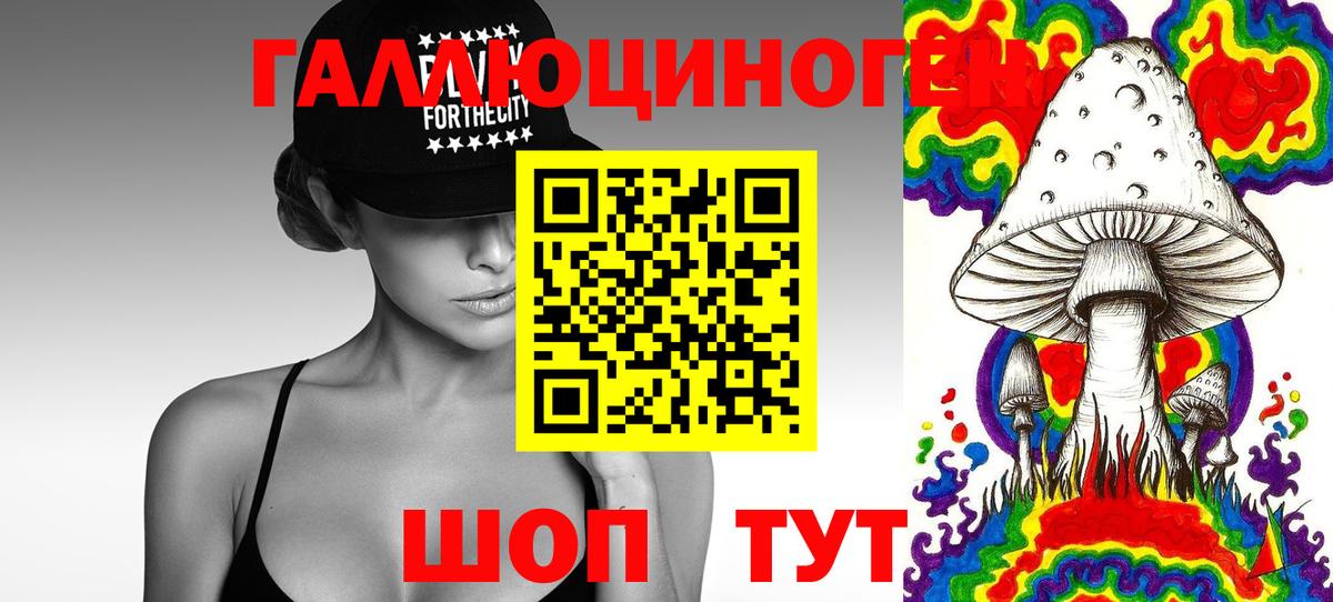 Бахчисарай  Галлюциногенные грибы прущие грибы  Вход с VPN  Галлюциногенные грибы Psilocybine cubensis 