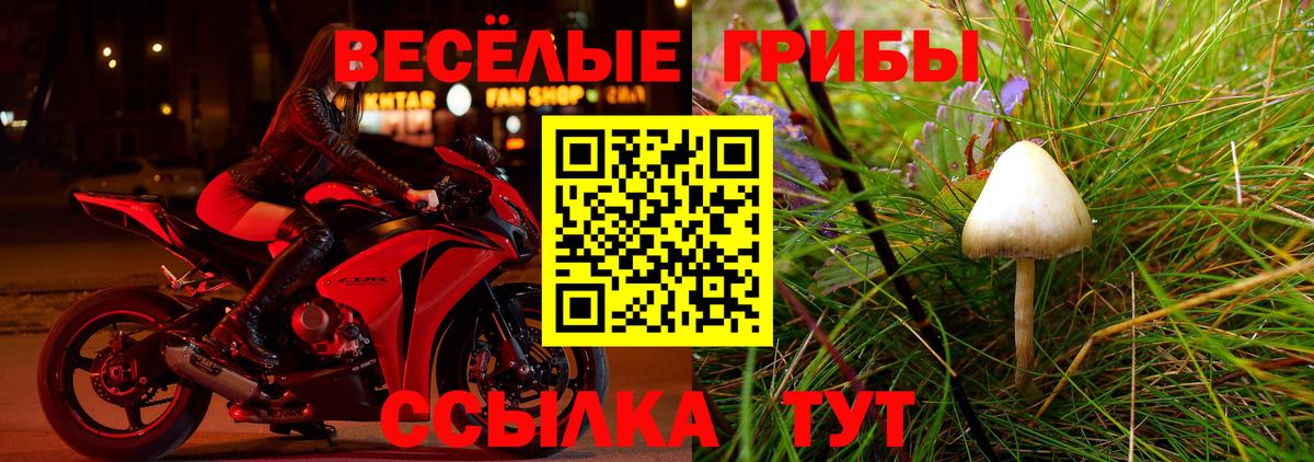 Галлюциногенные грибы MAGIC MUSHROOMS Бахчисарай
